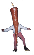 Carrotshot2